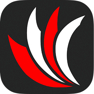 Gazeteler 2.4.49