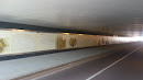 Tunnel Art 