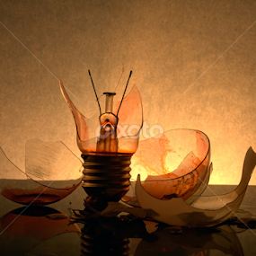 Broken Light by Mohamed Moustafa ( Abdofoto ) - Artistic Objects Still Life