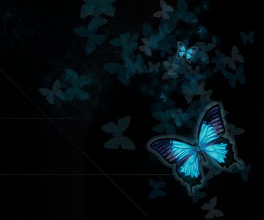 How to download Butterfly HD Wallpaper lastet apk for android