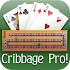 Cribbage Pro Online!2.5.25 (Paid)
