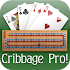 Cribbage Pro Online!2.5.15