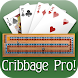 Cribbage Pro Online! icon