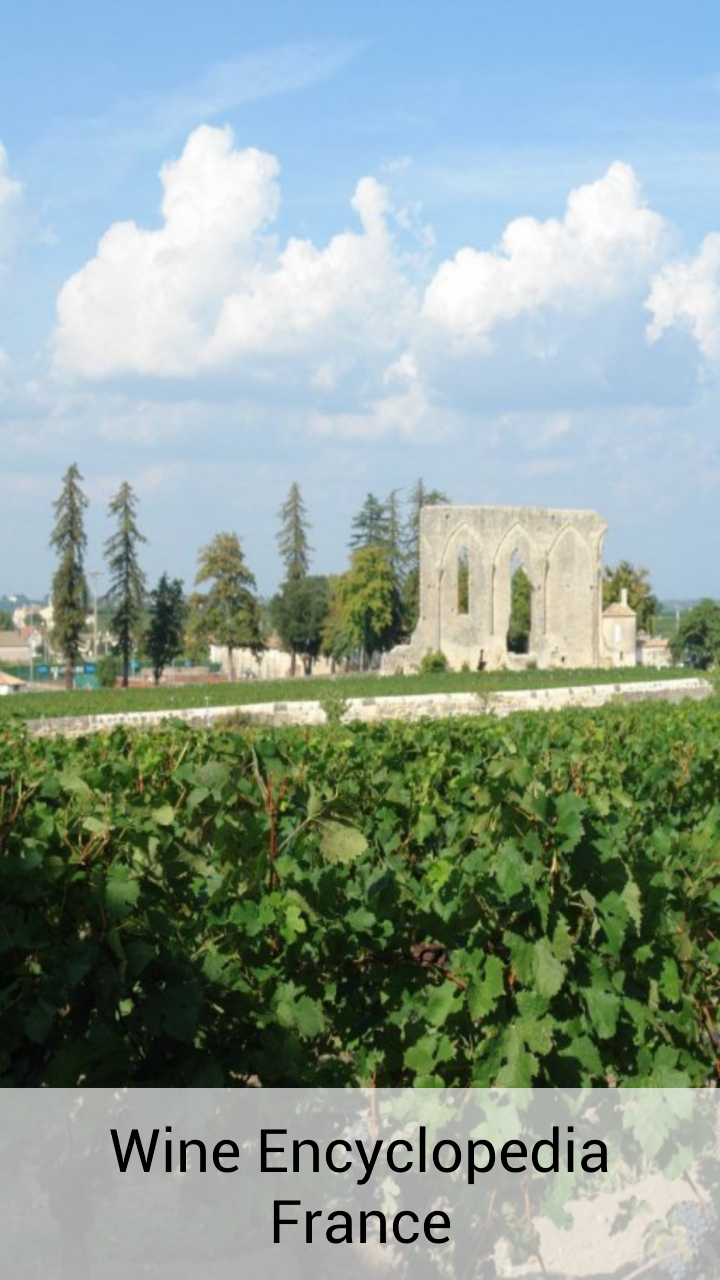 Wine Encyclopedia France Screen 1