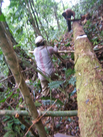 [DSCF18573.jpg]