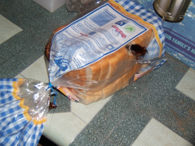 [DSCF19851.jpg]