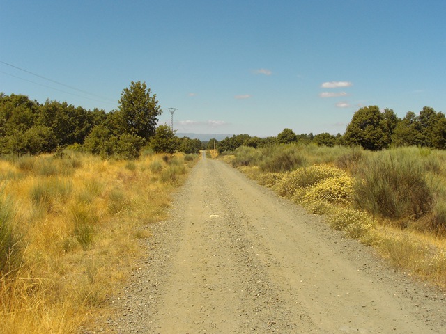 [ia de la Plata 768[3].jpg]