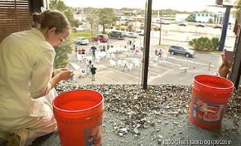 [ghostdec06_18[3].jpg]