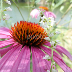 by Linda Hackney - Uncategorized All Uncategorized