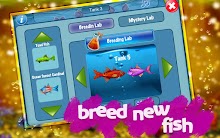 Tap Fish