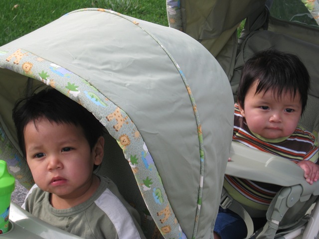 [IMG_02546.jpg]