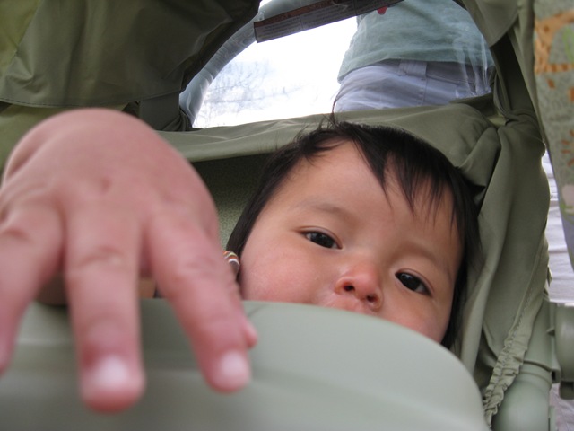 [IMG_03056.jpg]