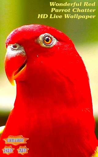 Wonderful Red Parrots Chatter