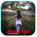 Blowing Rose LiveWallpaper