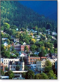 [nelson-cityscape[1].jpg]