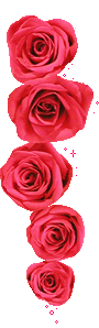 084.png