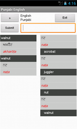 English Punjabi Dictionary