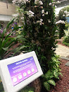 Orchid Garden At Changi Airport T2