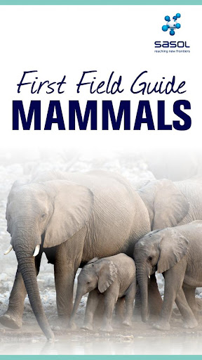 Sasol Field Guide Mammals