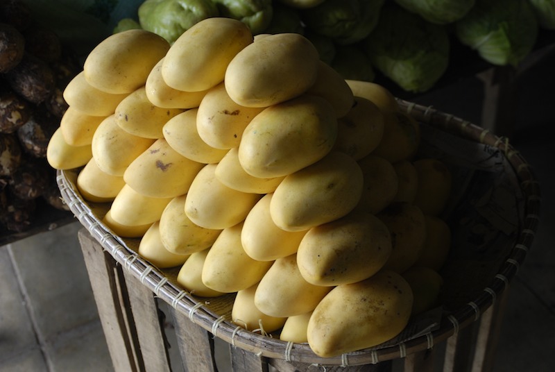 20080422_0009_mangos.jpg