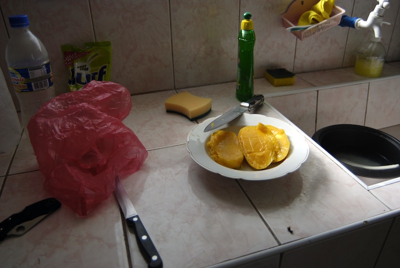 20080423_0019_mangocut.jpg