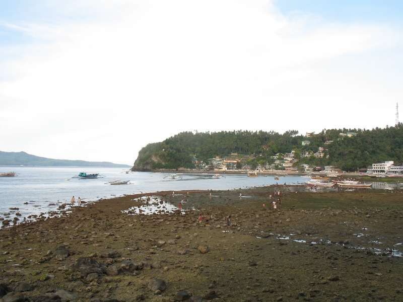 20080603_0037_lowtide.jpg