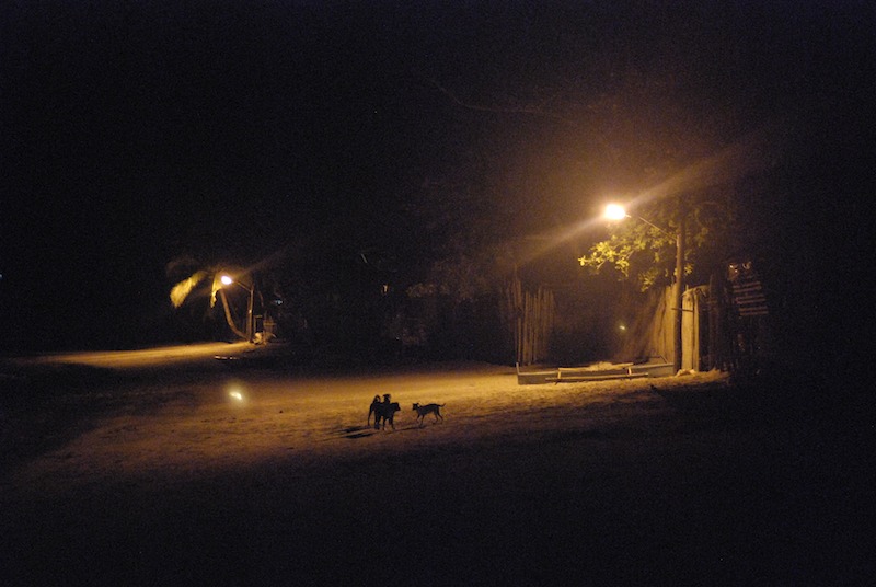 20080705_0167_nitedog.jpg