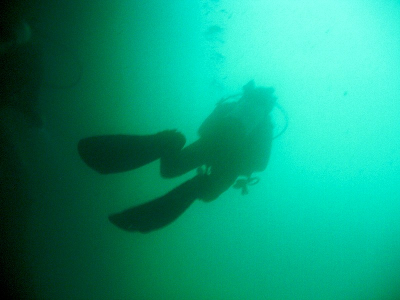 20080709_0019_diver.jpg