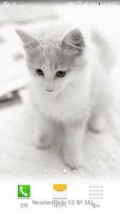 white shiny cat wallpaper Screenshots 0