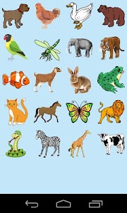 20+ Gambar Hewan Edukasi Anak, Koleksi Kekinian!