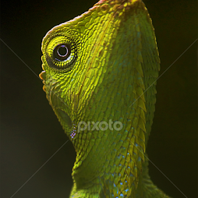 yes, you make it by Ag Adibudojo - Typography Quotes & Sentences