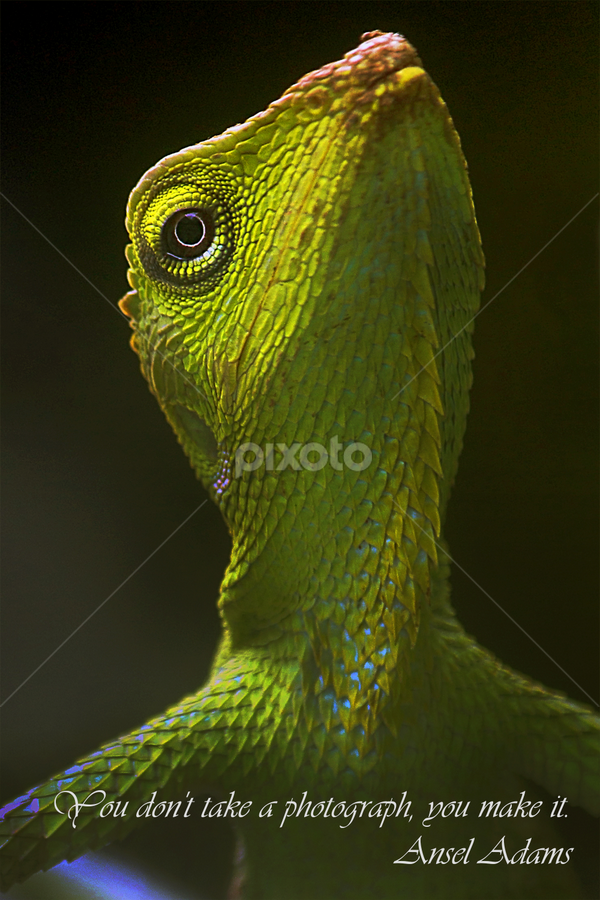 yes, you make it by Ag Adibudojo - Typography Quotes & Sentences