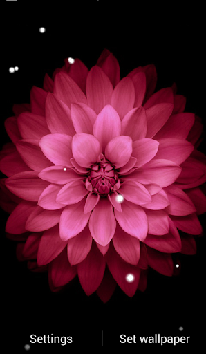 Z1 New Flower Live Wallpaper