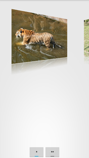 Animals jigsaw puzzles