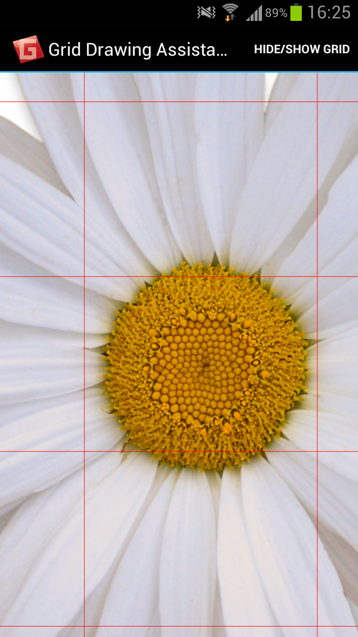 Grid Drawing Assistant Pro Screen 2