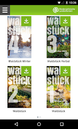 the forest-kiosk poster 1