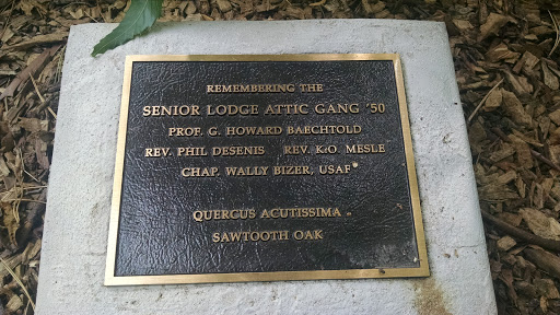 Senior Lodge Attic Gang '50