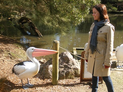 Yarra Valley 022