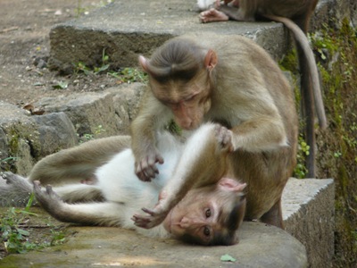 mumbai 055