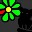 Ace IM ICQ module Download on Windows