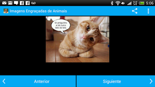 【免費娛樂App】Imagens Engraçadas de Animais-APP點子