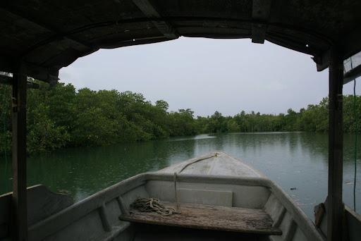 Le bateau dans la Mangrove