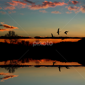 We're Off by Paul Mays - Landscapes Sunsets & Sunrises