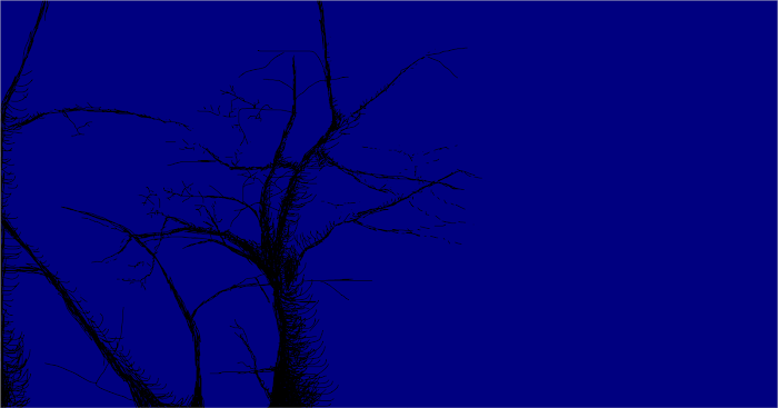 Forest of the night