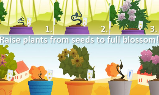 A Plants Life Fun-filled Game