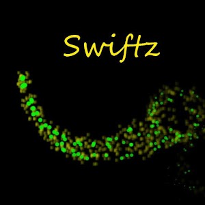 Swiftz.apk 1.0
