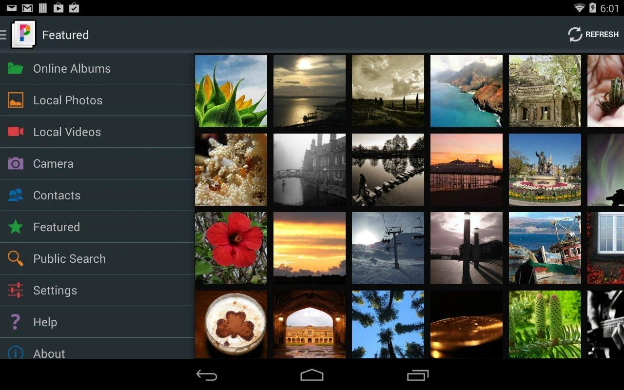 PicsPro for Picasa - screenshot