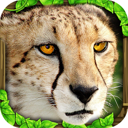 Cheetah Simulator v1.1