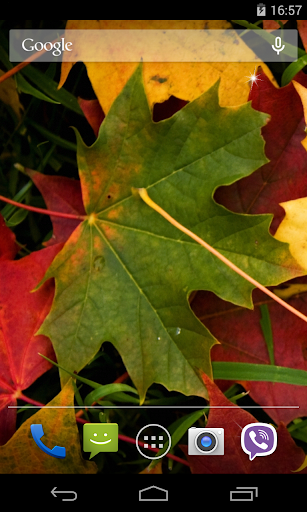 Autumn Leaves Live Wallpaper