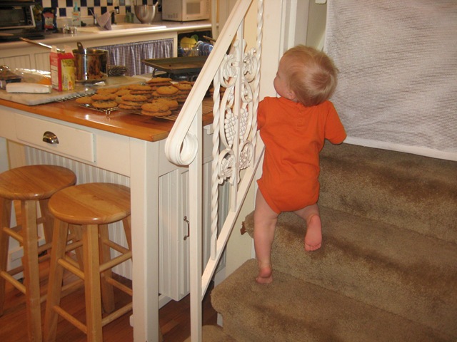 [DavidPhotos0123.jpg]